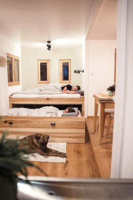 Wohnwagon Paul - Autarkie Erleben! - Tiny House Villa Oberschneiding Exteriör bild